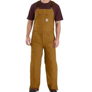 Carhartt Insulated Double Knee Bib Overalls Sz 46x34